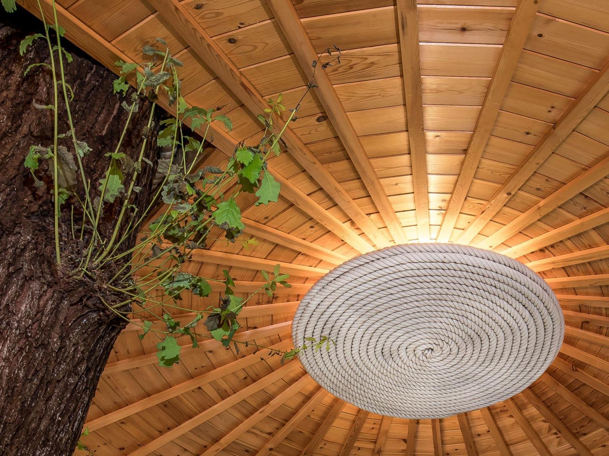 Bensfield Treehouse Villa Wadhurst Buitenkant foto